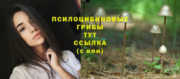 МДПВ Пестово