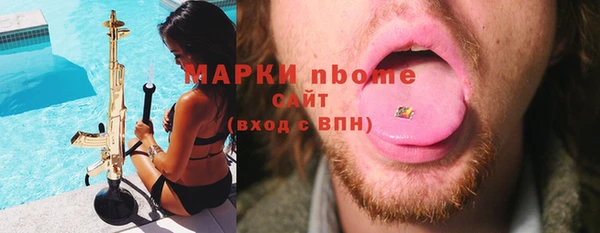 хмурый Бородино