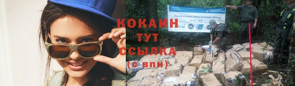 хмурый Бородино