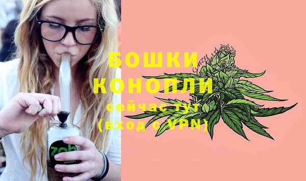 хмурый Бородино