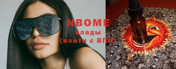 хмурый Бородино